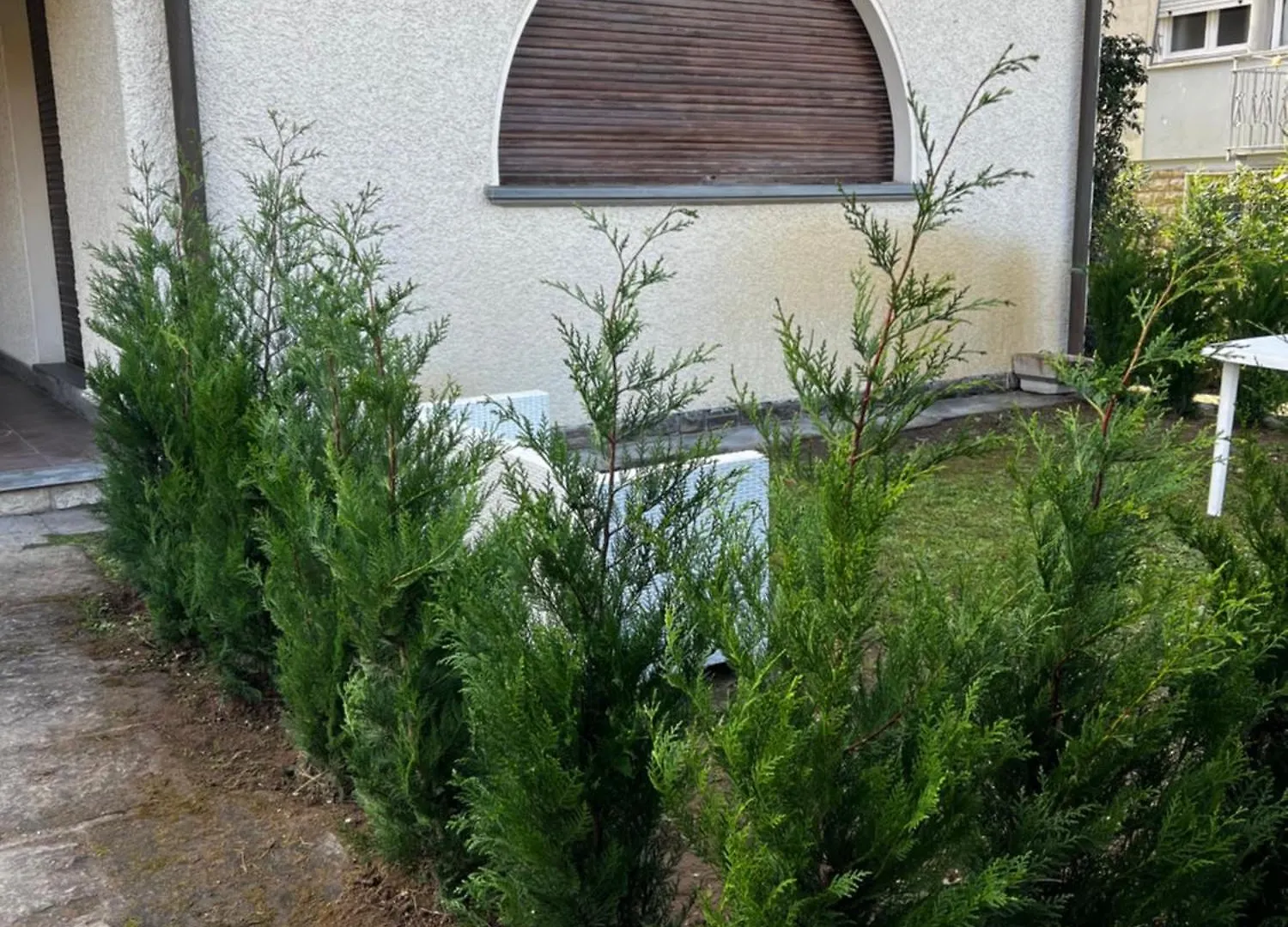 Villa Costa Fiorita Lido di Camaiore Aparthotel